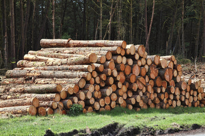 The Benefits of Sustainable Firewood